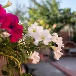 La Casa De Rosa