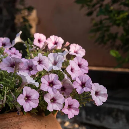 Holiday home La Casa De Rosa Teruel