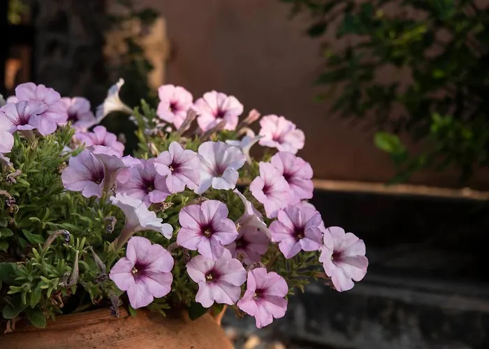 Nyaraló La Casa De Rosa Teruel