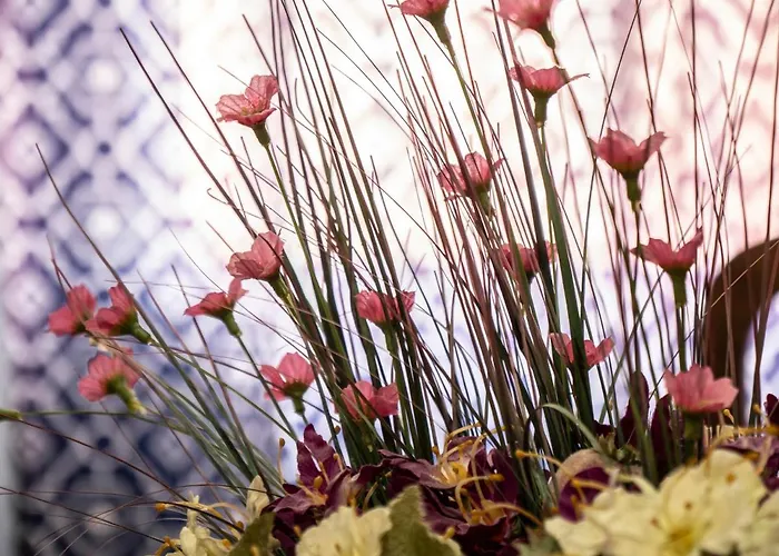 La Casa De Rosa Nyaraló *